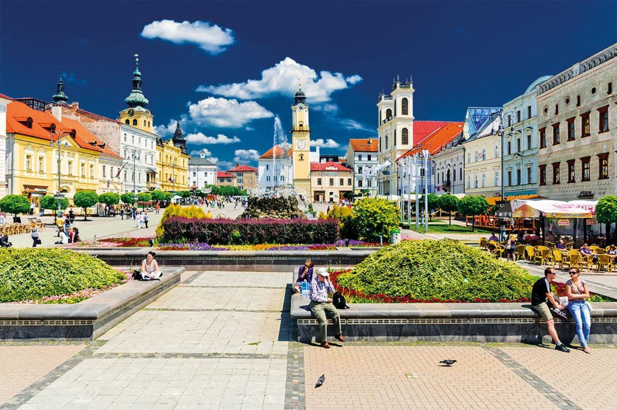 Apartman Terminal, Self Check-In 24 H, Free Parking Banska Bystrica Bagian luar foto